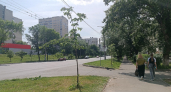 Как у Христа за пазухой: эти 3 цифры в дате рождения даруют особую силу получать желаемое