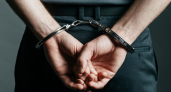 В Воронеже арестовали бизнесмена за мошенничество с землей на 22 млн рублей