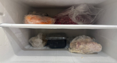 Пора выбросить все пакеты из морозилки: способ соседки, который спас мне кучу места и времени