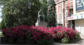 Воронежские парки встретили лето буйством цветущих роз