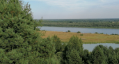 Четыре пляжа Воронежа попали под запрет купания из-за грязной воды