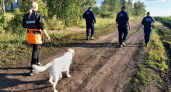 В воронежском Шилове свернули поиски пропавшей трехлетней девочки