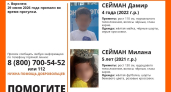 Поиски пропавших без маленьких брата с сестрой свернули в Воронеже