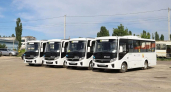 Еще 10 новых автобусов выйдут на маршруты в Воронеже