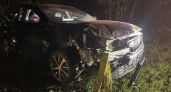 В ДТП под Воронежем пострадали годовалый ребенок и женщина