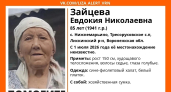Волонтеры ищут 85-летнюю женщину в Лискинском районе