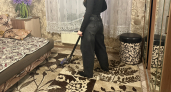 Капните 2 капли на диск и в пылесос — квартира пахнет свежестью после уборки
