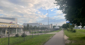 Начинать не время, лучше всё проверить: 3 знакам Зодиака советуют взять паузу перед 28 августа