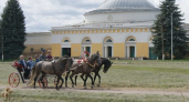 Хреновской конный завод готовится к 250-летнему юбилею