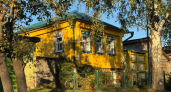 Беру чайный пакетик и окунаю в раствор — грызуны вмиг исчезли: мыши обходят дом за километр