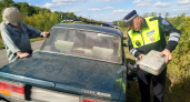 Инспекторы ДПС помогли пожилому водителю под Воронежем добраться до заправки