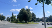 Телец, Овен, Рак и Водолей в гороскопе на 24 сентября