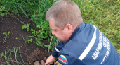 В Воронежской области уничтожили миномётную мину времён ВОВ