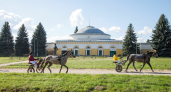 В Бобровском районе отпраздновали 250-летие Хреновского конного завода