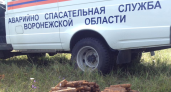 Сапёры обезвредили сотни боеприпасов военного времени под Воронежем