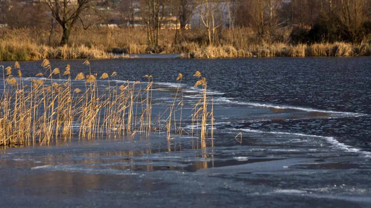 Воронежская область готовится к аномальному паводку: уровень воды на Доне может достигнуть 6 метров