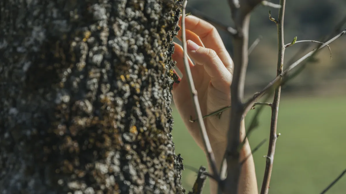 Дерево не растет второй год? Разбираем ошибки, которые губят саженцы (и как их исправить)