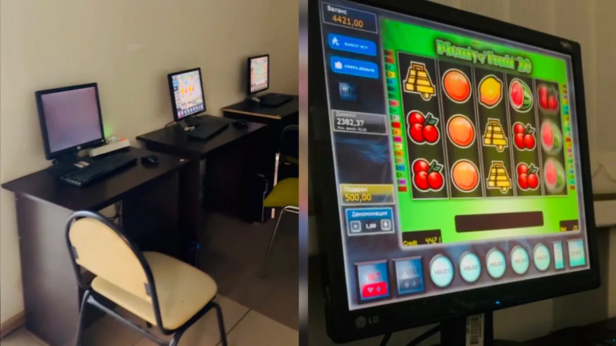 Отец и дочь организовали нелегальный игорный клуб в Воронеже