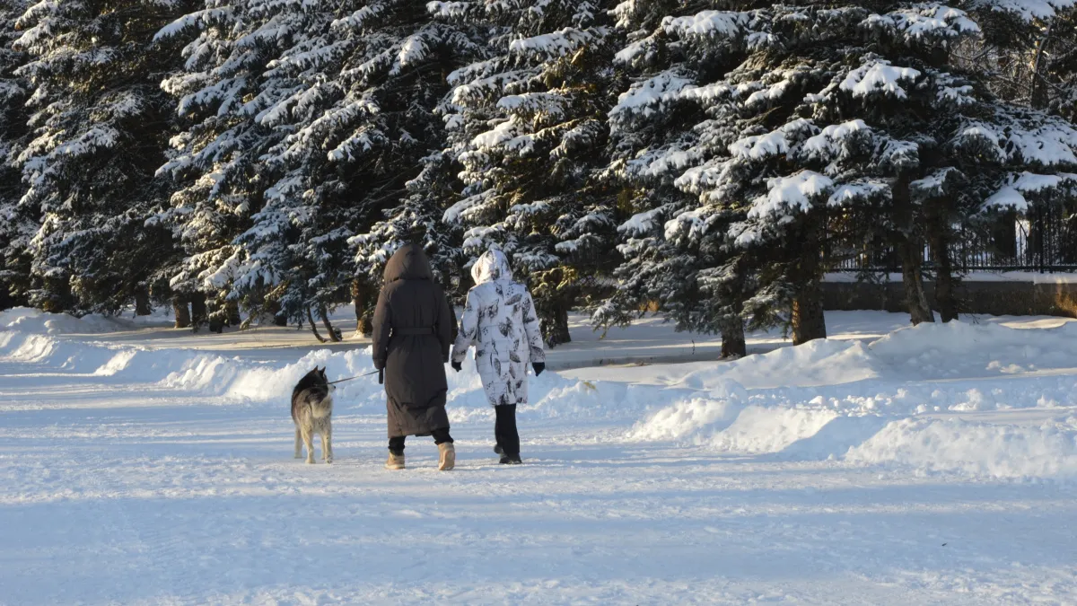 Пять привычек, которые подарят комфортную жизнь после 60: советуют долгожители