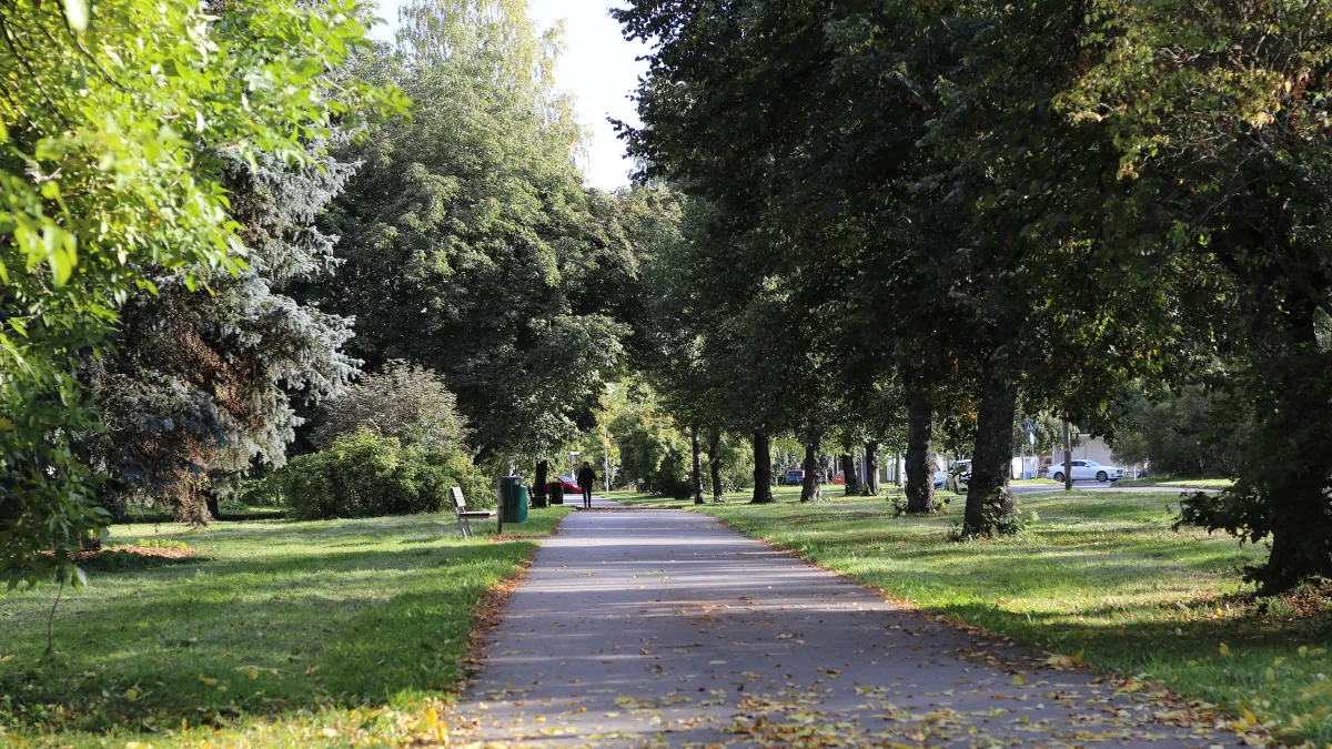 Благоустройство Карла Маркса в Воронеже попало под финансирование