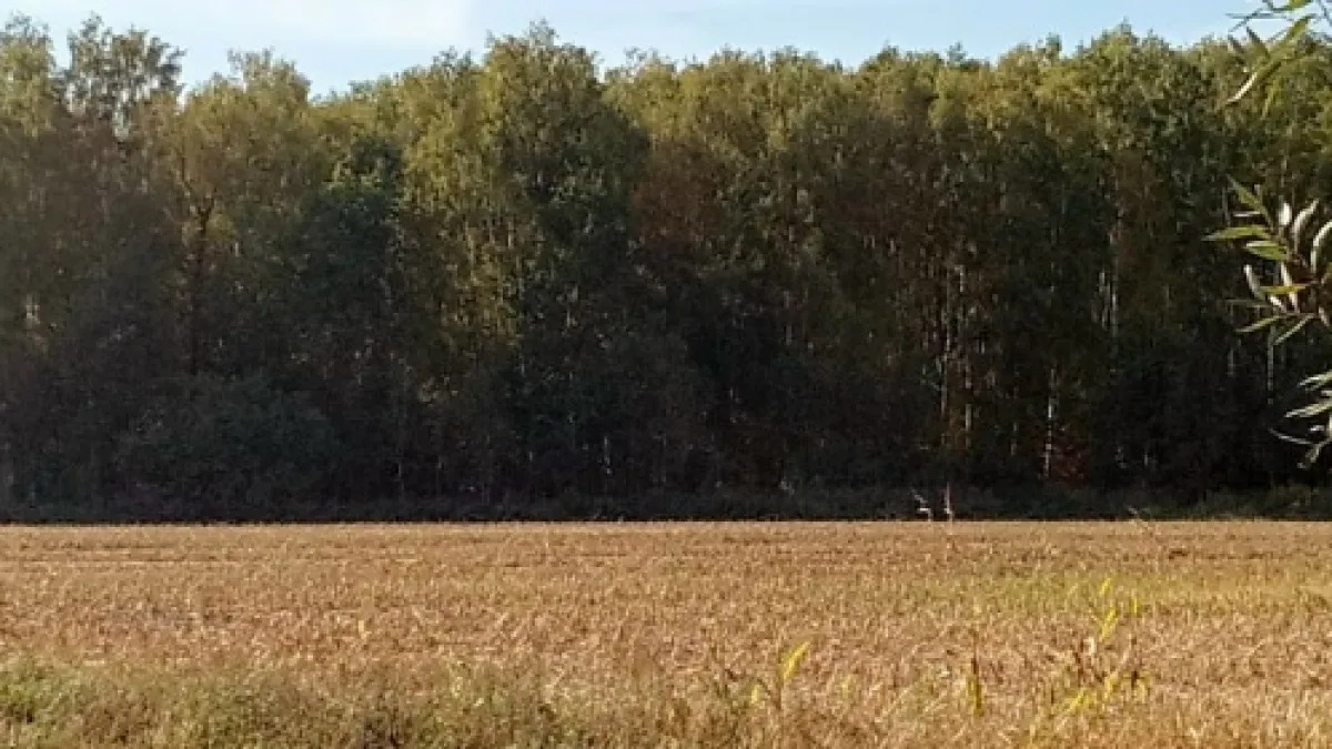 В Воронежской области завершается подготовка к весенним полевым работам