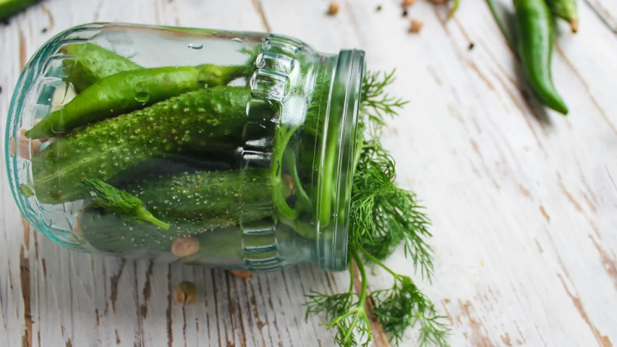 Огурцы не вянут неделями: метод, о котором молчат супермаркеты