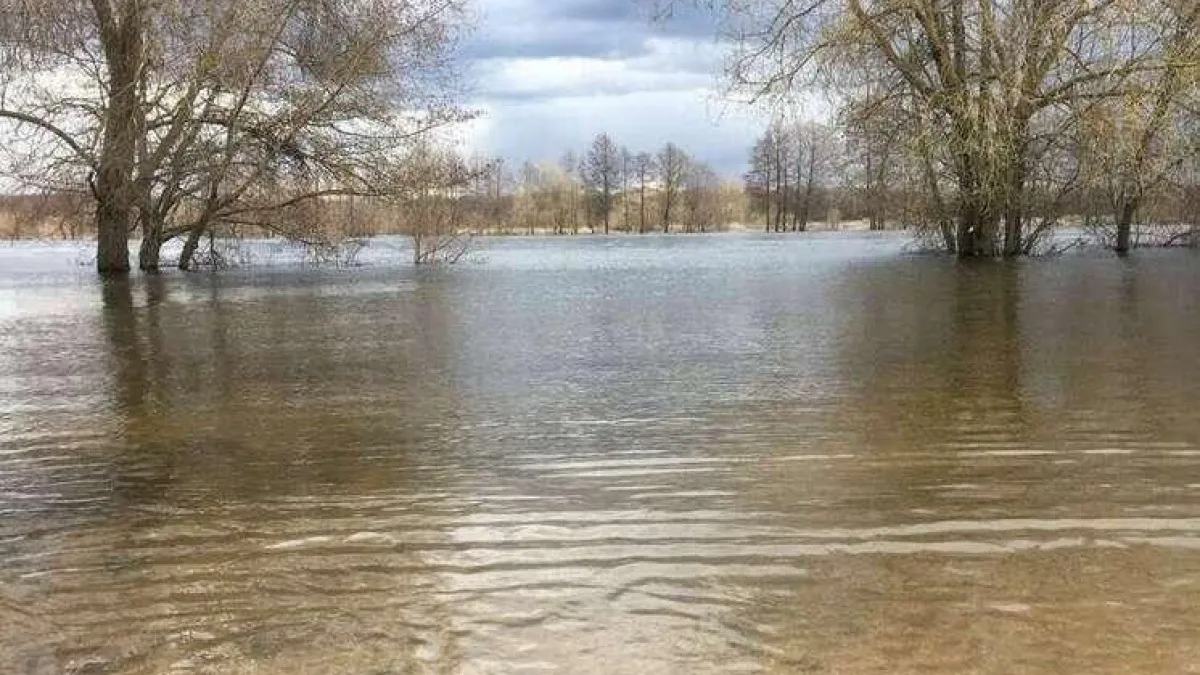 Два СНТ в Воронеже начали уходить под воду