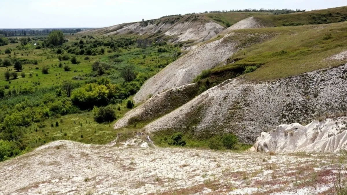 На юге Воронежской области появится новая особо охраняемая природная территория