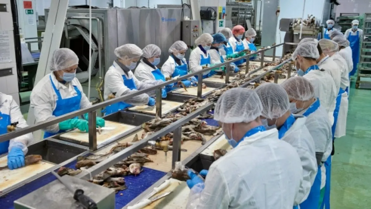 Завод на юге Воронежа получил повреждения, но продолжил работу