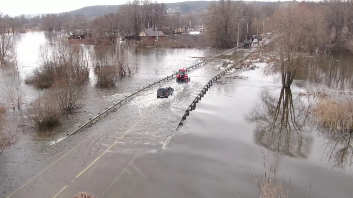 В Воронежской области затопило два низководных моста