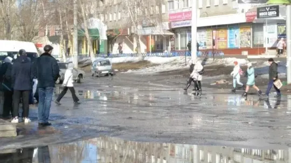 Бастрыкин потребовал наказать виновных в разрушенных улицах под Воронежем