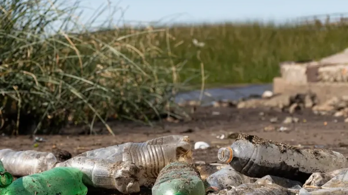 Сельское поселение под Воронежем проиграло суд экологам