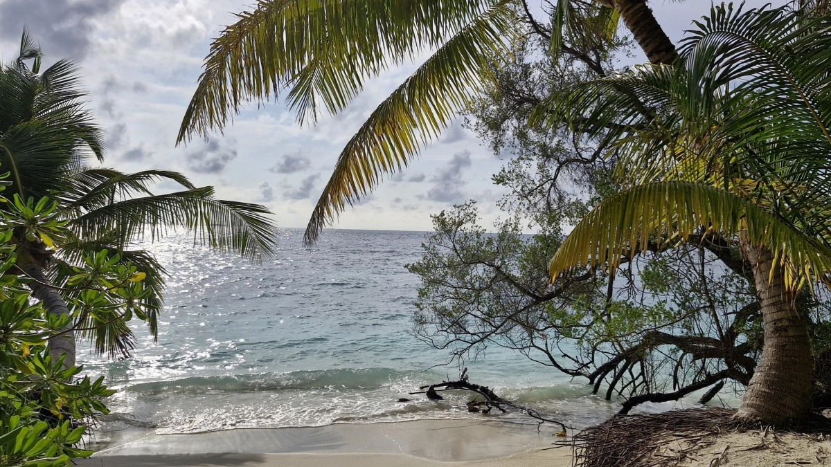 Отдых на море за 50 тысяч рублей: топ-5 курортов на лето-2026. Забудьте о дорогих направлениях