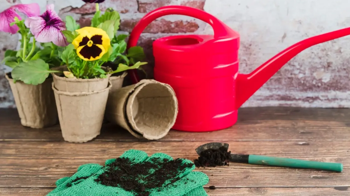 Две недели без полива: что случилось с цветком в грунте с поролоном