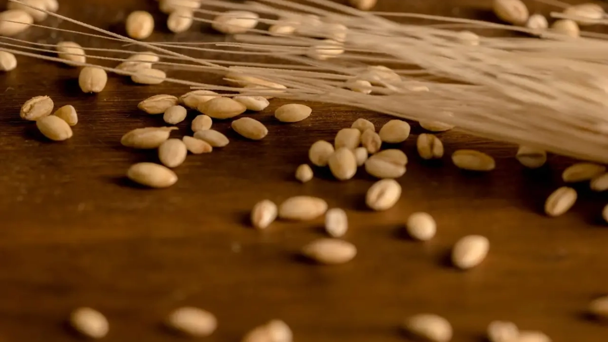 В Воронежской области аннулировали документы на зерно из-за «липовых» лабораторий