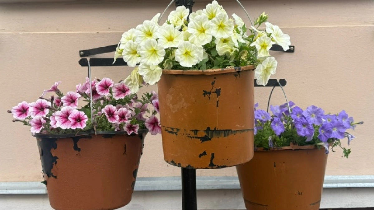 Красиво, но опасно: 3 причины, почему ваши горшки на балконе незаконны