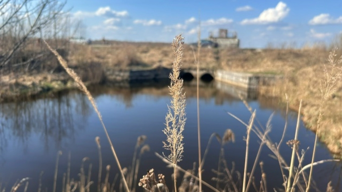 В Воронежской области затопило сразу четыре моста
