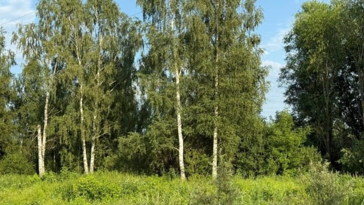 В Воронежской области дан старт «зеленой» кампании-2026