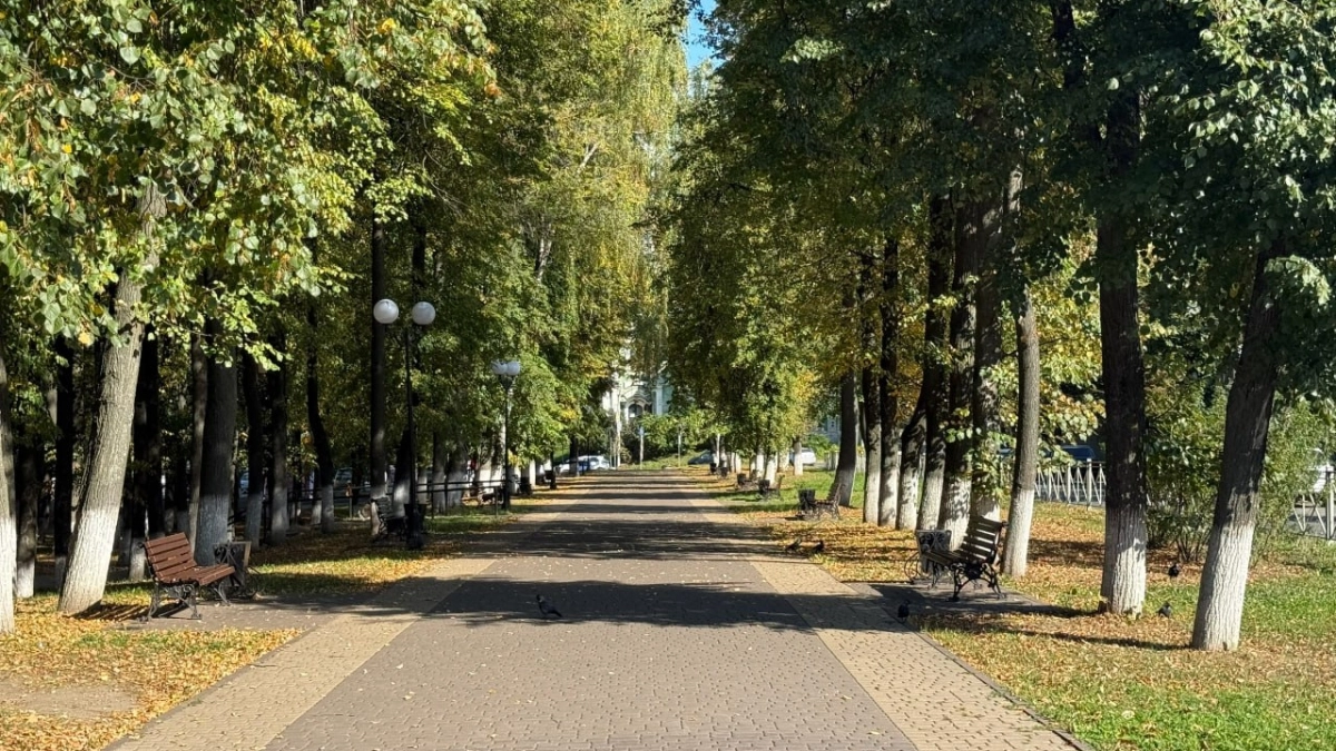 Воронеж потратит рекордные 607 млн рублей на борьбу со свалками и бездомными животными