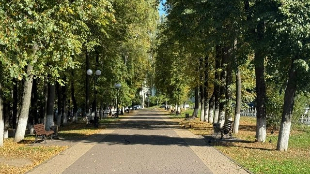 Воронеж направит более 600 млн рублей на экологию