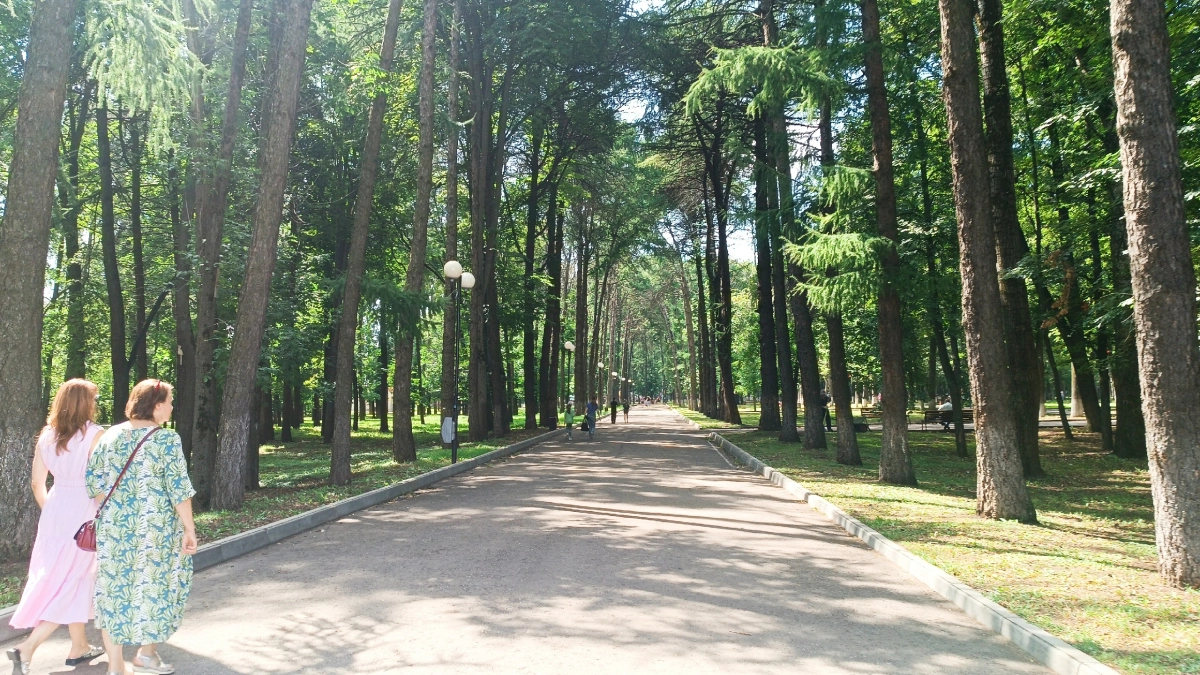 Дружба, которая высасывает силы: как я понял, что пора расставаться — мудрые слова Зигмунда Фрейда