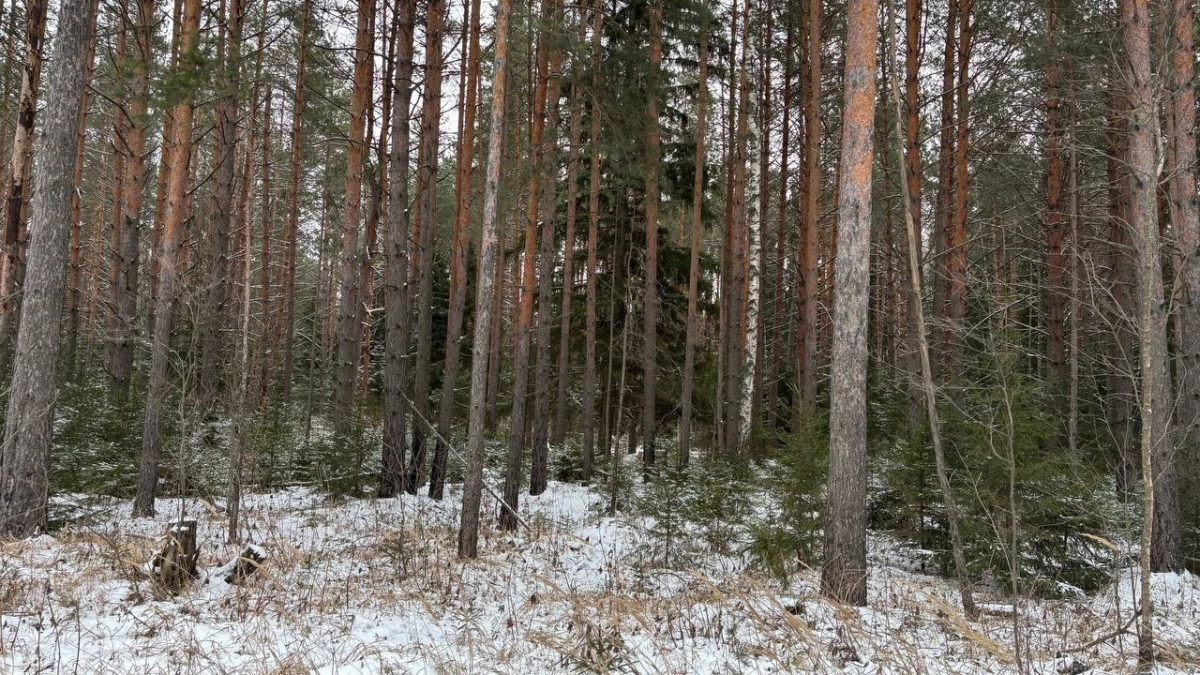 В двух районах Воронежской области вводят тотальный запрет на охоту
