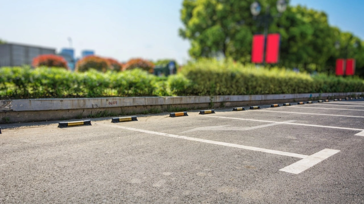 Воронежский ЗАГС призвал молодоженов не платить нелегалам у Кольцовского сквера