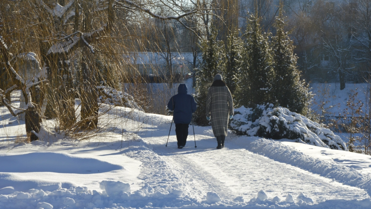 3 типа людей, от которых стоит отдалиться, даже если вы дружите годами: уроки Фрейда
