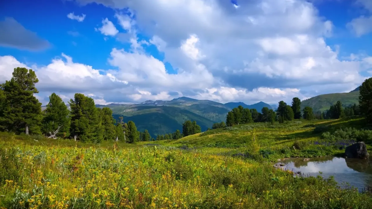 Под 187 памятниками природы Воронежской области закрепят юридическую ответственность