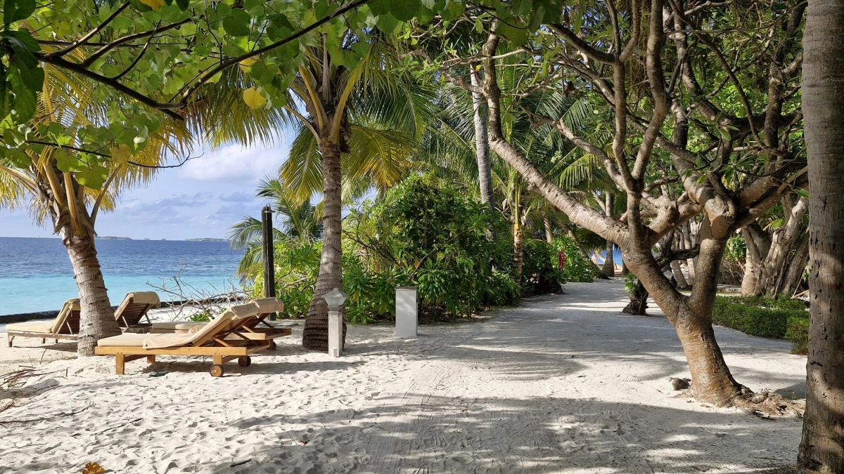 Море, которое освежает, и пляж без толп: Дивноморское — альтернатива Сочи в 2026 году