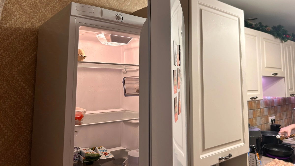 Запах в холодильнике не выветривается неделями: 4 шага, чтобы вернуть свежесть — больше не воняет рыбой, луком и прокисшим молоком