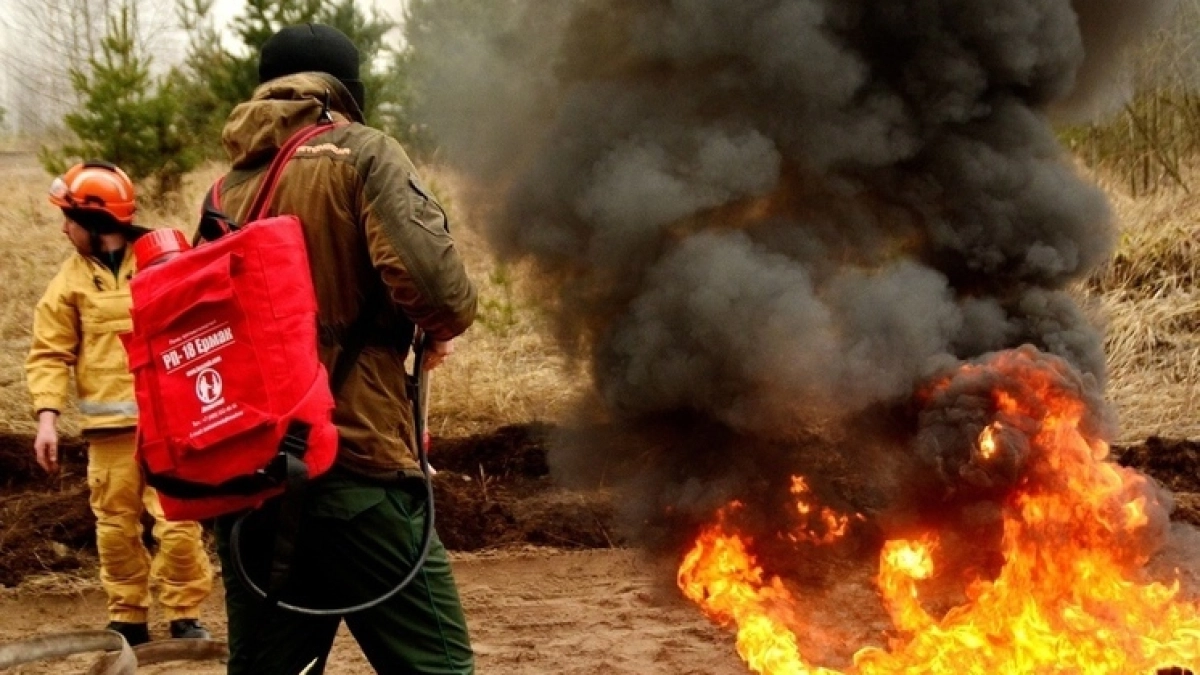 Воронежцам напомнили о старте пожароопасного сезона