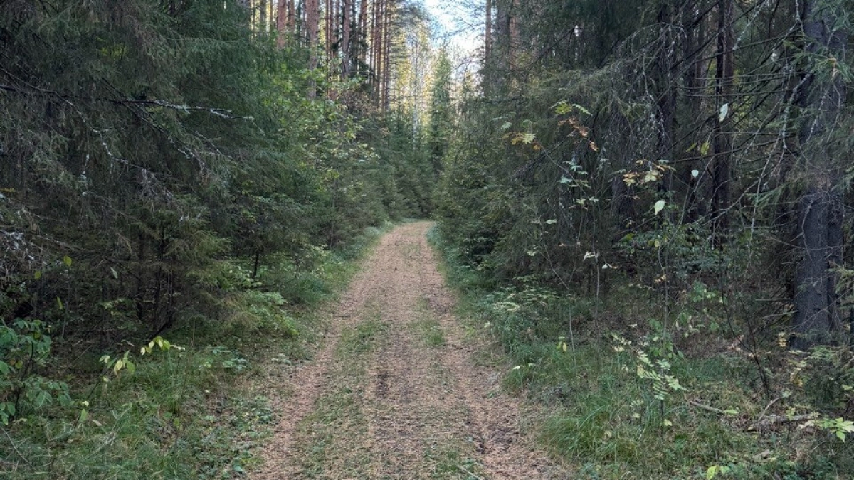 В Воронежской области за неделю пропал 21 человек