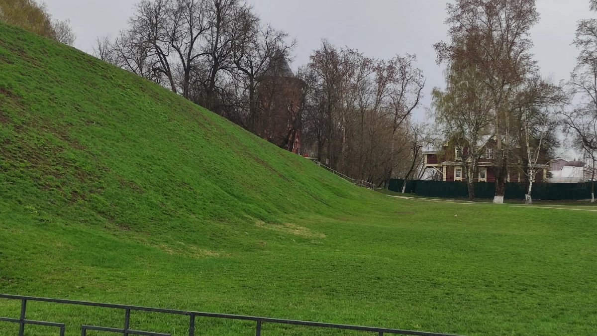 В Воронеже проведут озеленение территории за 2 млн рублей